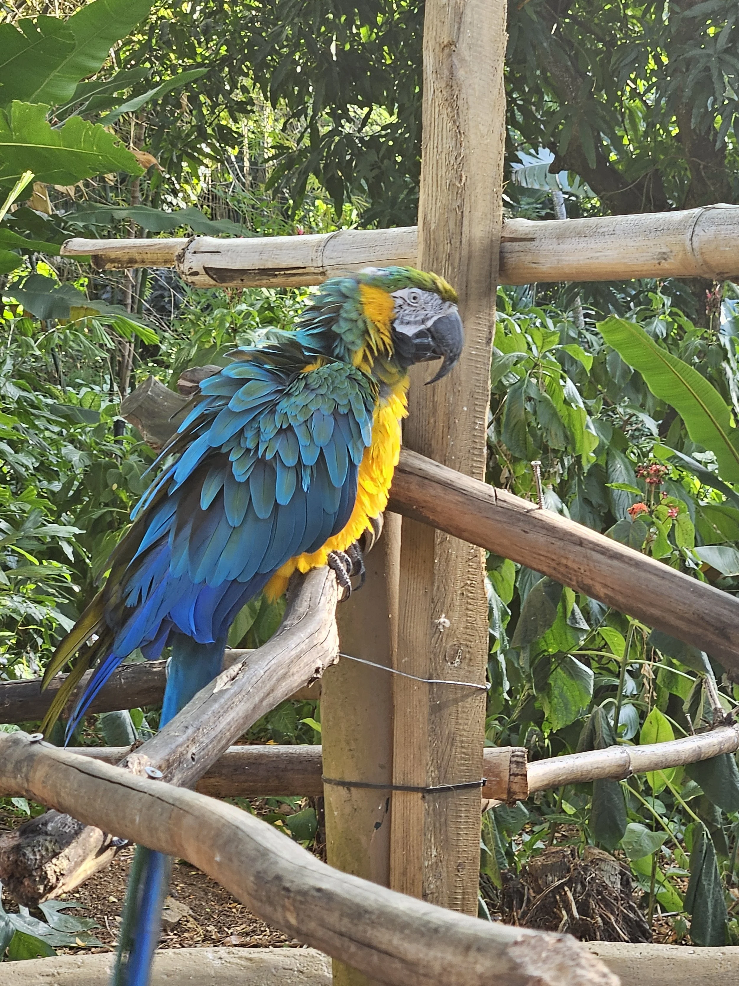 GUA06 20250111_160906.jpg
