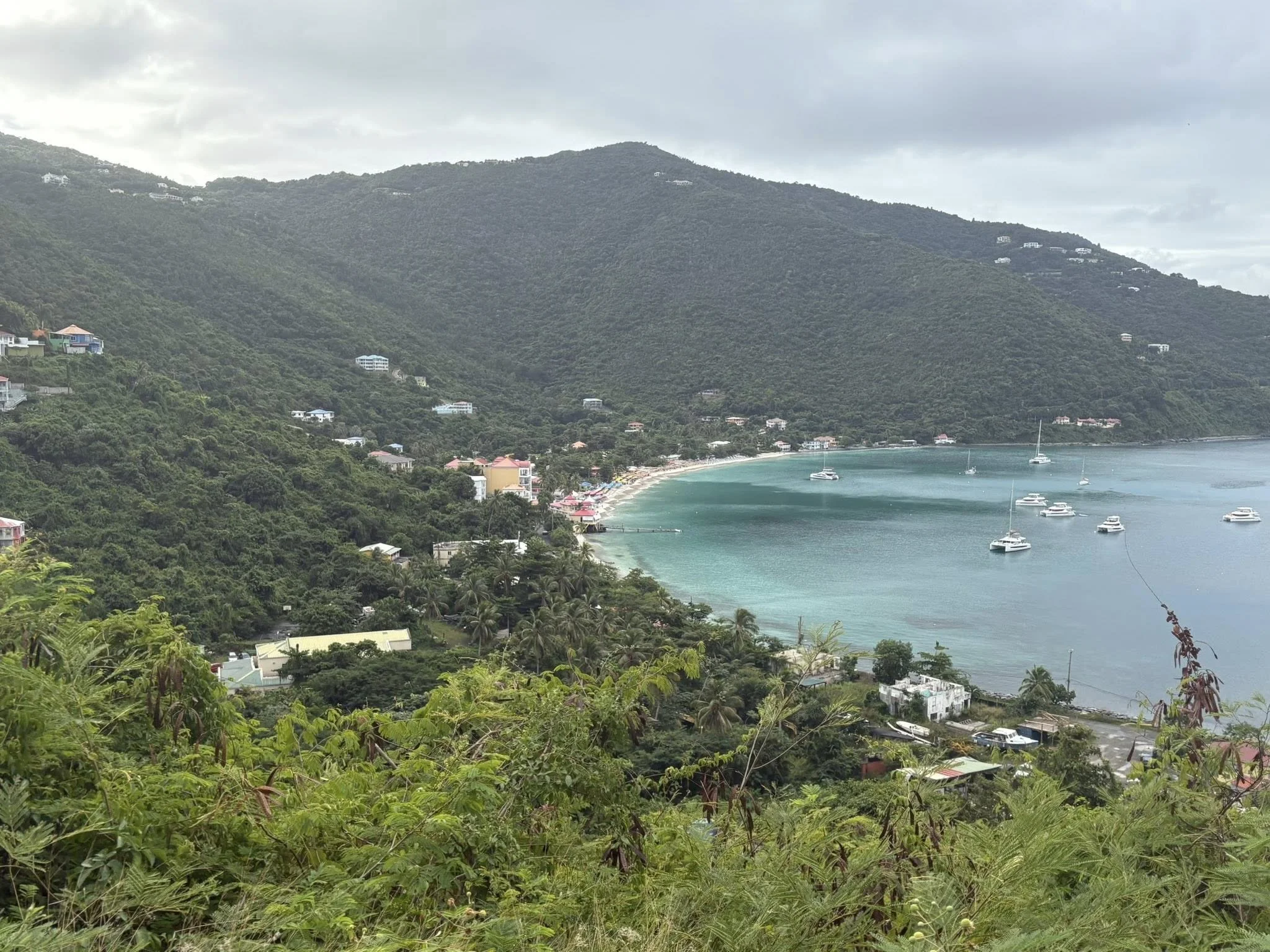 Image 32.jpeg