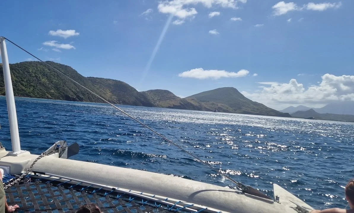 Image 83.jpeg