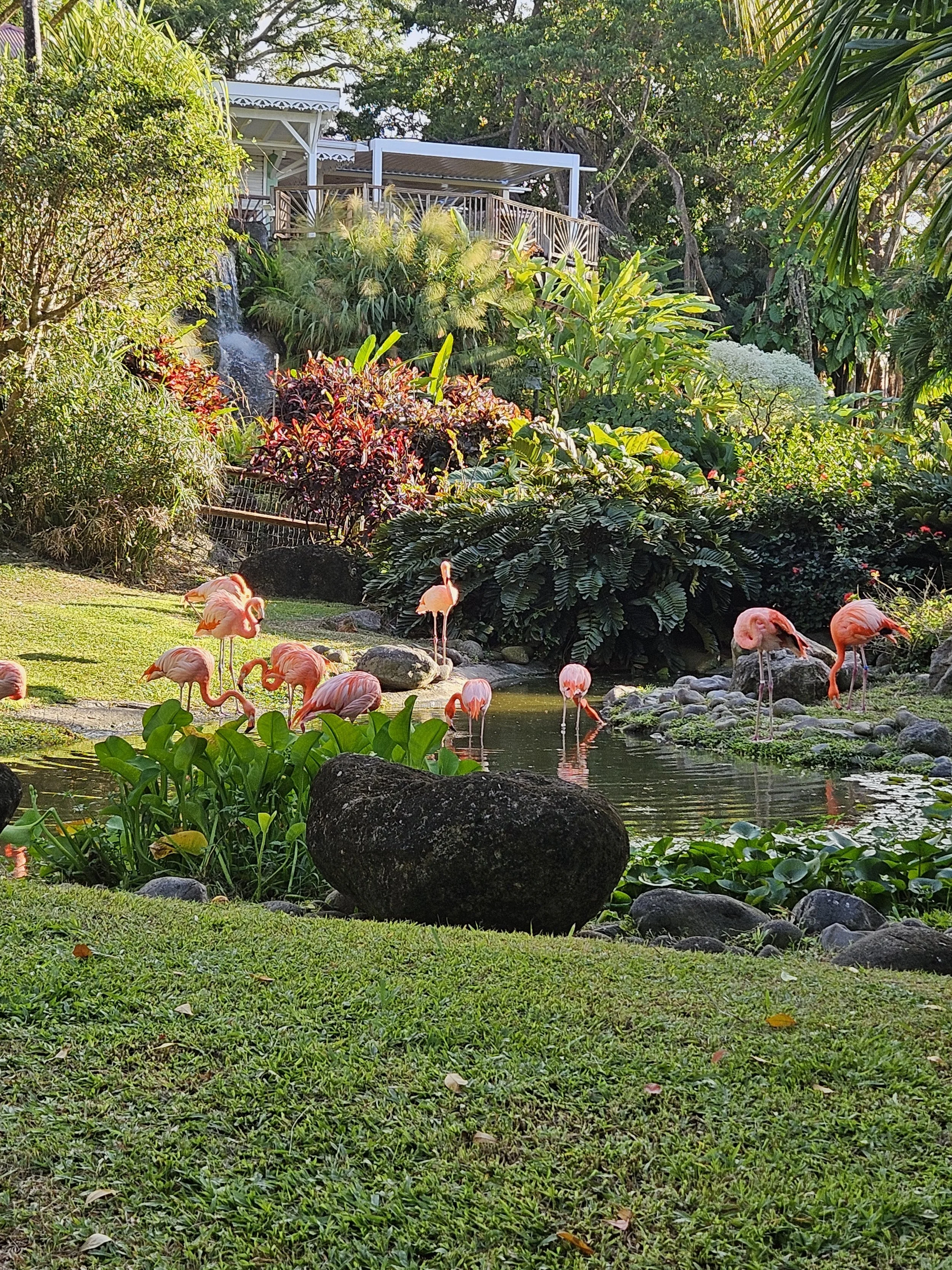 GUA06 20250111_161725.jpg