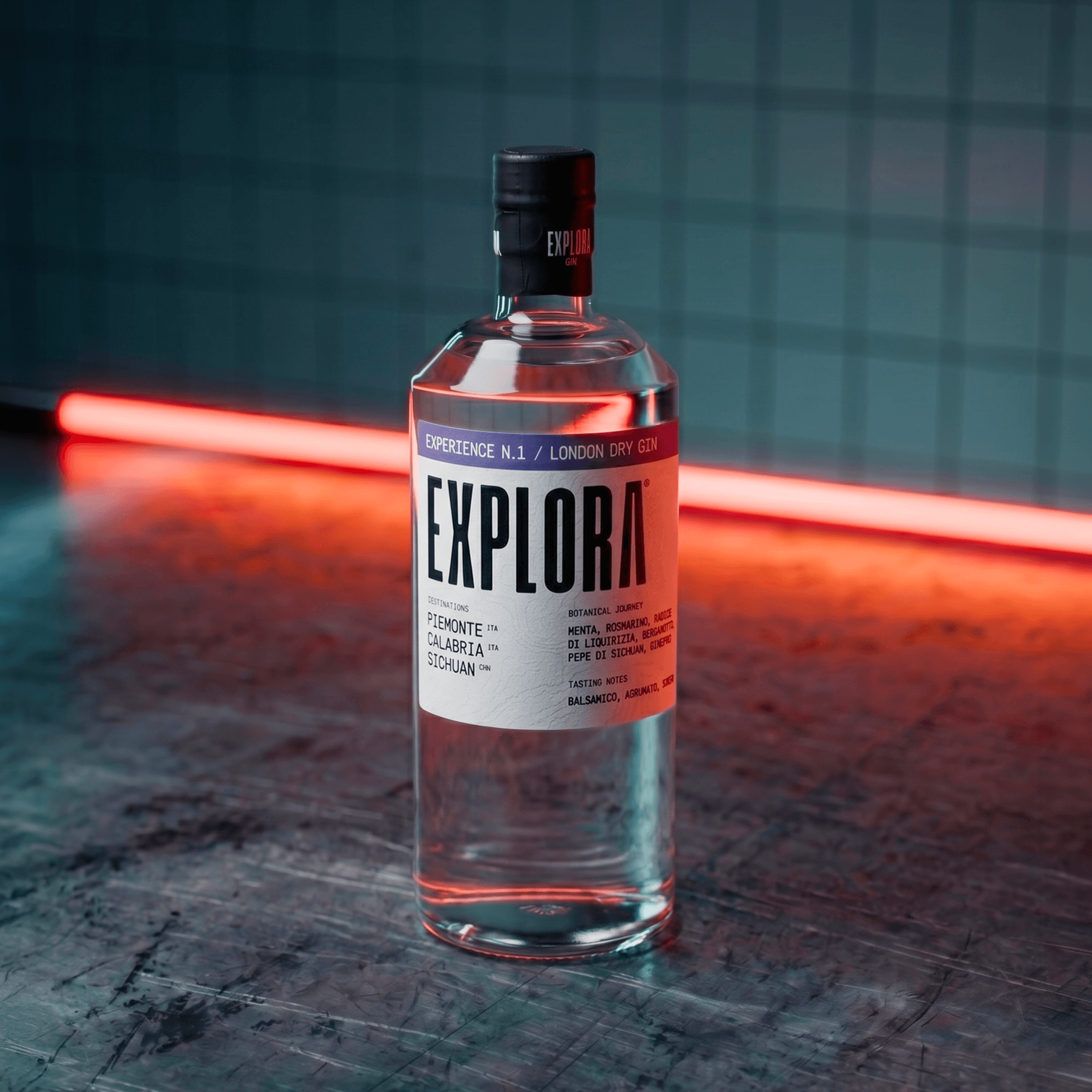 ExploraGinN1_cart2.png
