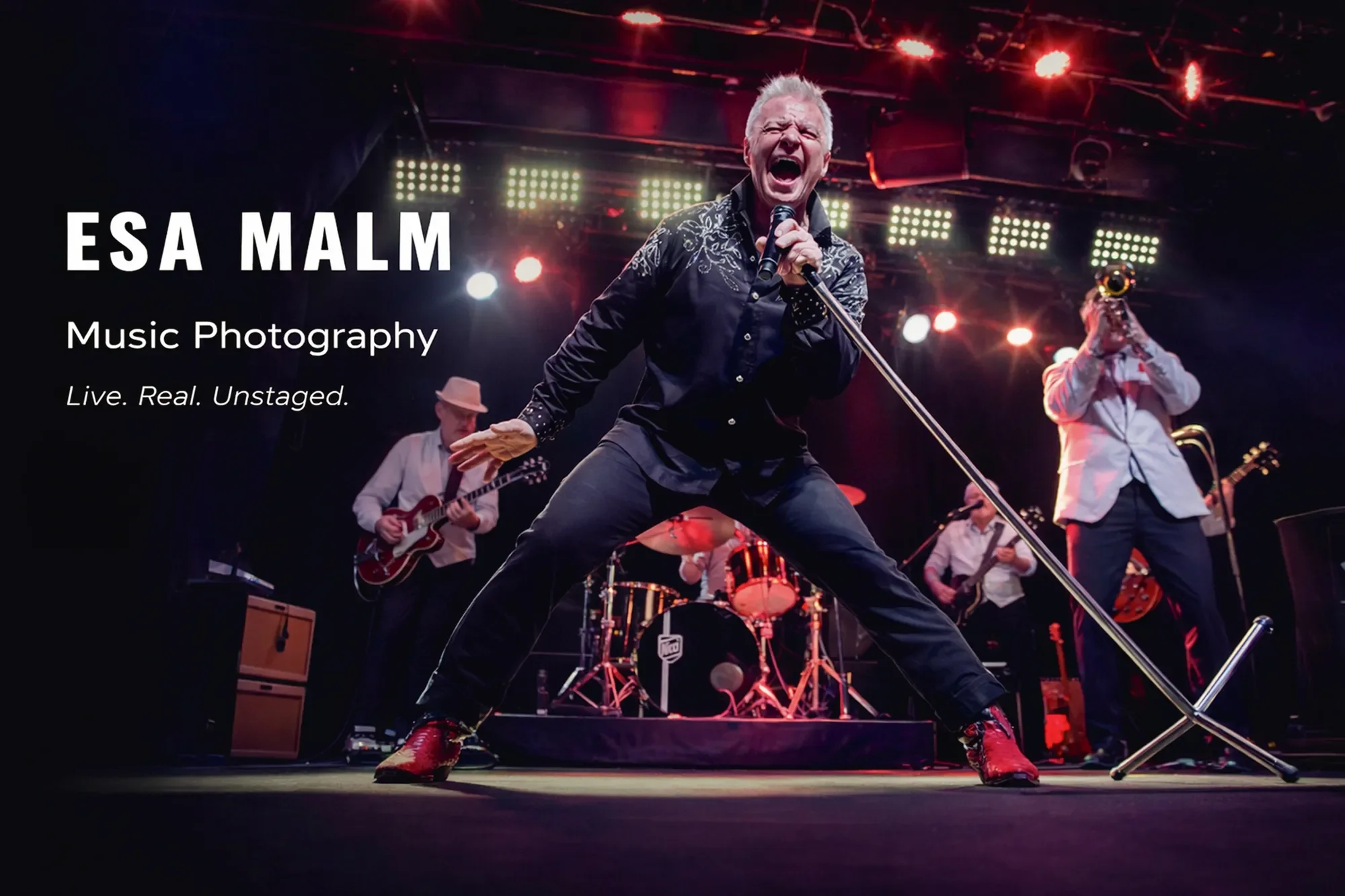 jerrywilliams-live-rockperformance-stockholm-2016-esa-malm
