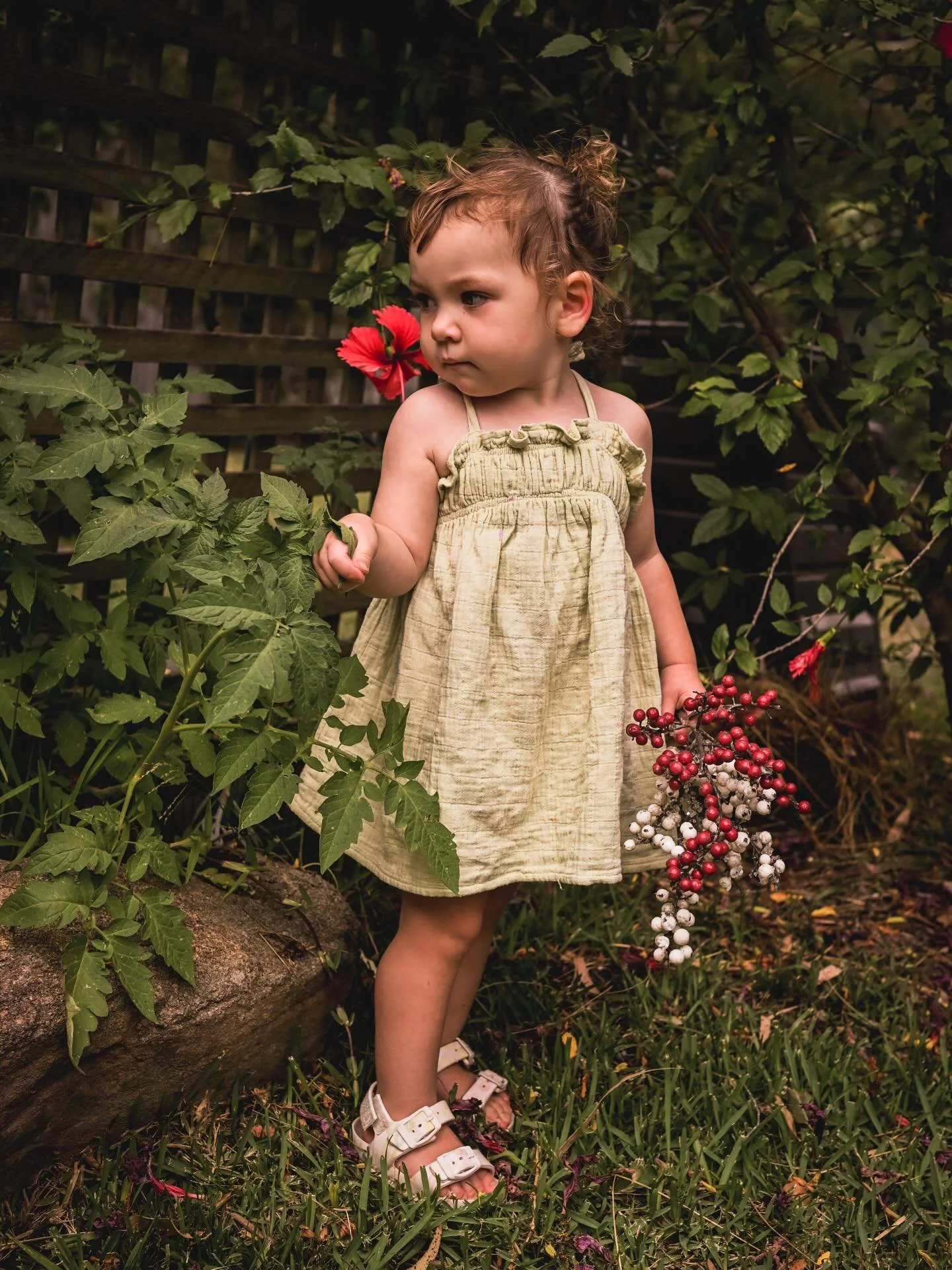 It&rsquo;s like it&rsquo;s almost Christmas. It&rsquo;s a wonder what you can do with a bit of red, a bit of sparkly, maybe some nature or homely setting, and a good photographer. 
Point blank, I have availability if anyone would like some last weeke