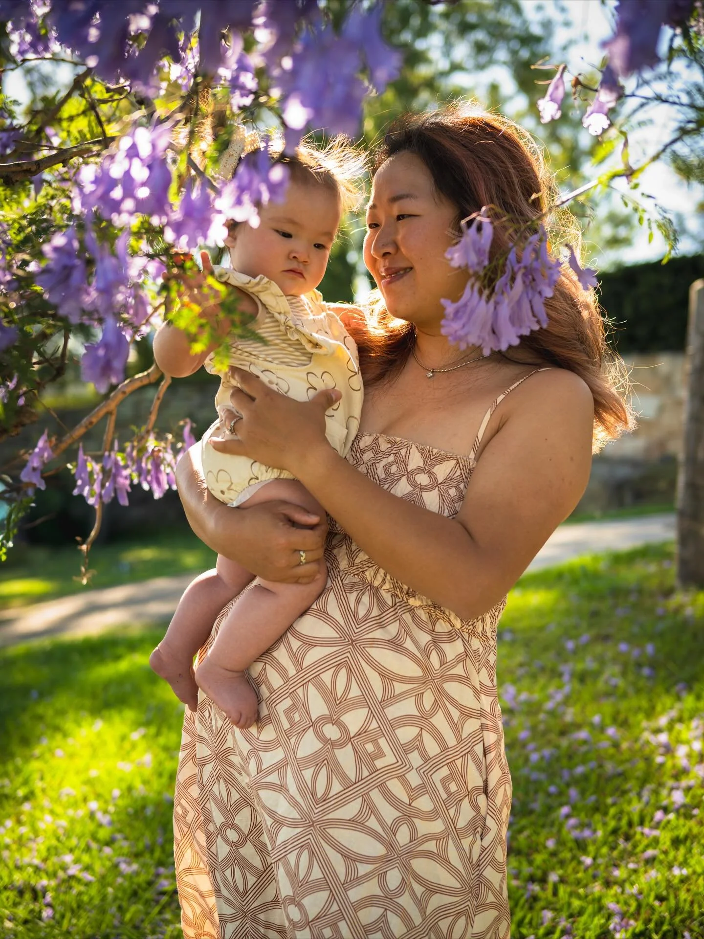 Who wants to take advantage of the Jacaranda tree flowers this year? Only a week or two providing the weather doesn&rsquo;t knock them about too harshly. 💜🌳
.
.
.
#jacarandatrees💜 #maitlandphotographer #huntervalleyphotographer #maitlandfamilyphot