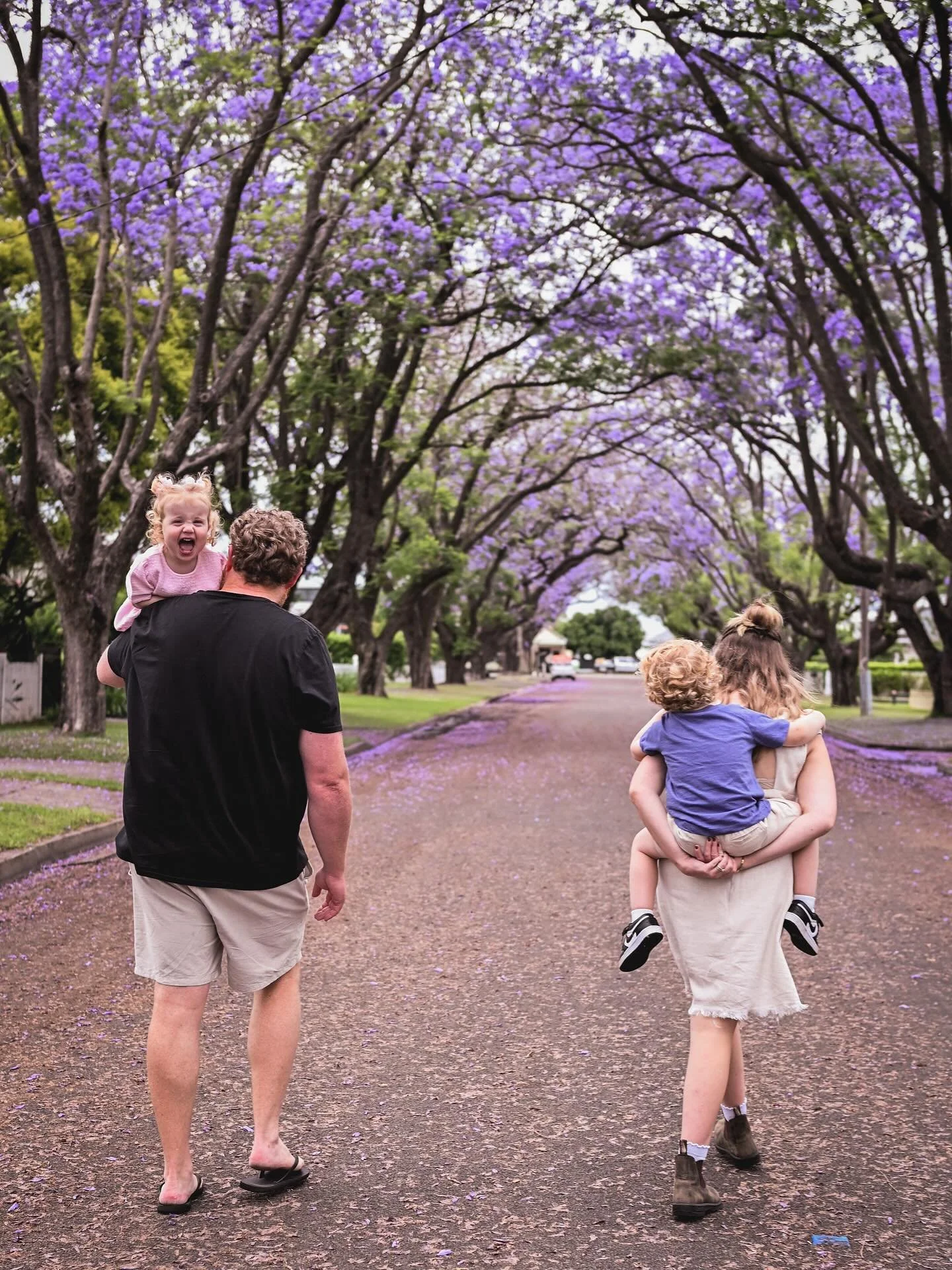 Now is the time to take advantage of the showing Jacaranda&rsquo;s! They&rsquo;ll only last a couple more weeks. 
Get in quick - DM me and we&rsquo;ll discuss what you&rsquo;re after. 
.
.
.
#maitlandjacaranda #jacarandatrees💜 #mymaitland #maitlandp