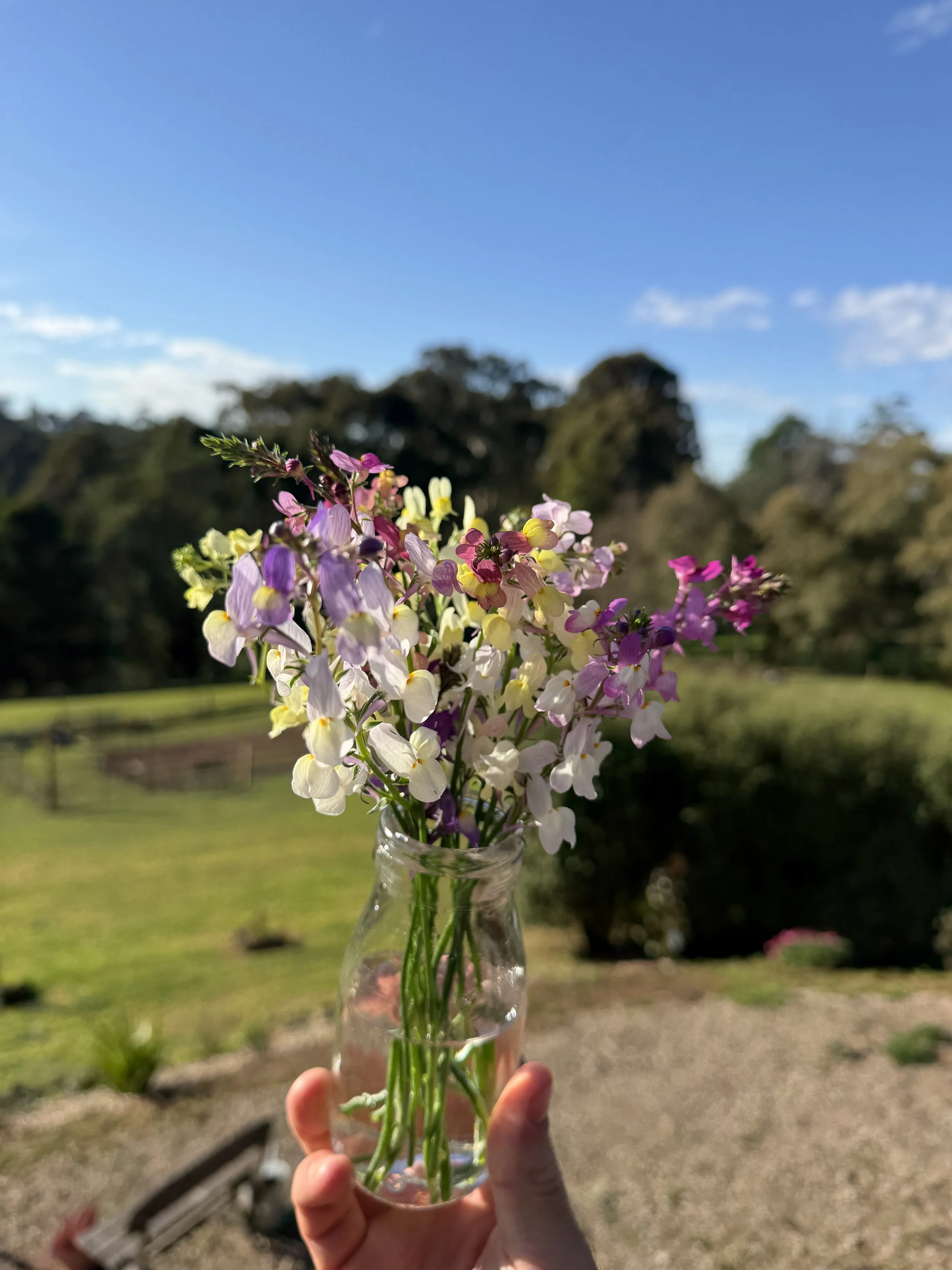 IMG_0580.jpeg