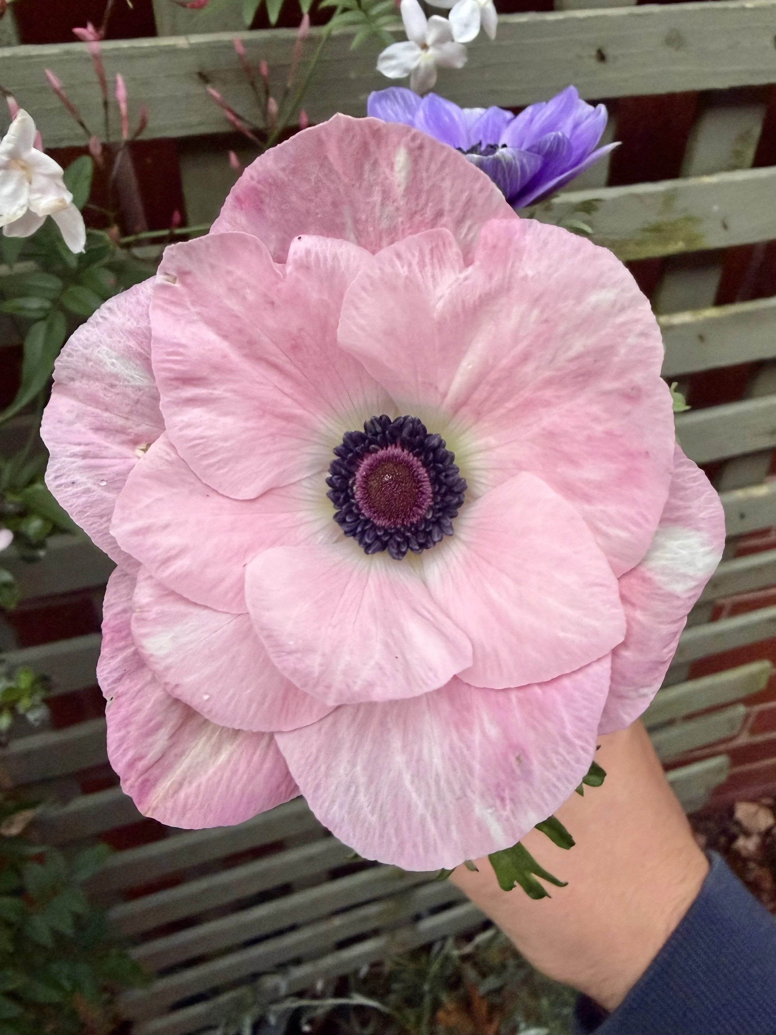 IMG_0840.jpeg