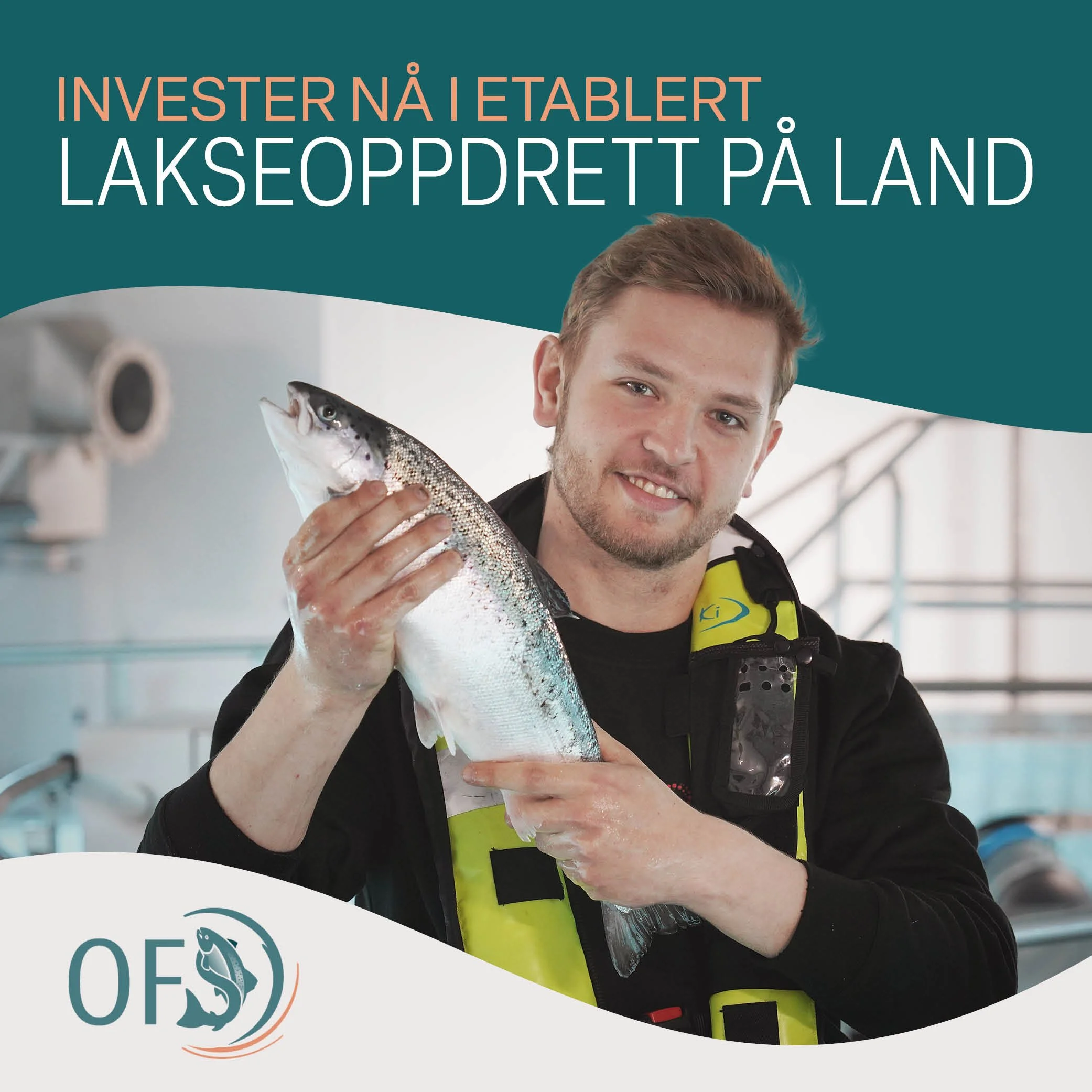 Kapitalinnhenting for OFS Norge AS med kampanjemateriell, annonsering, design og film