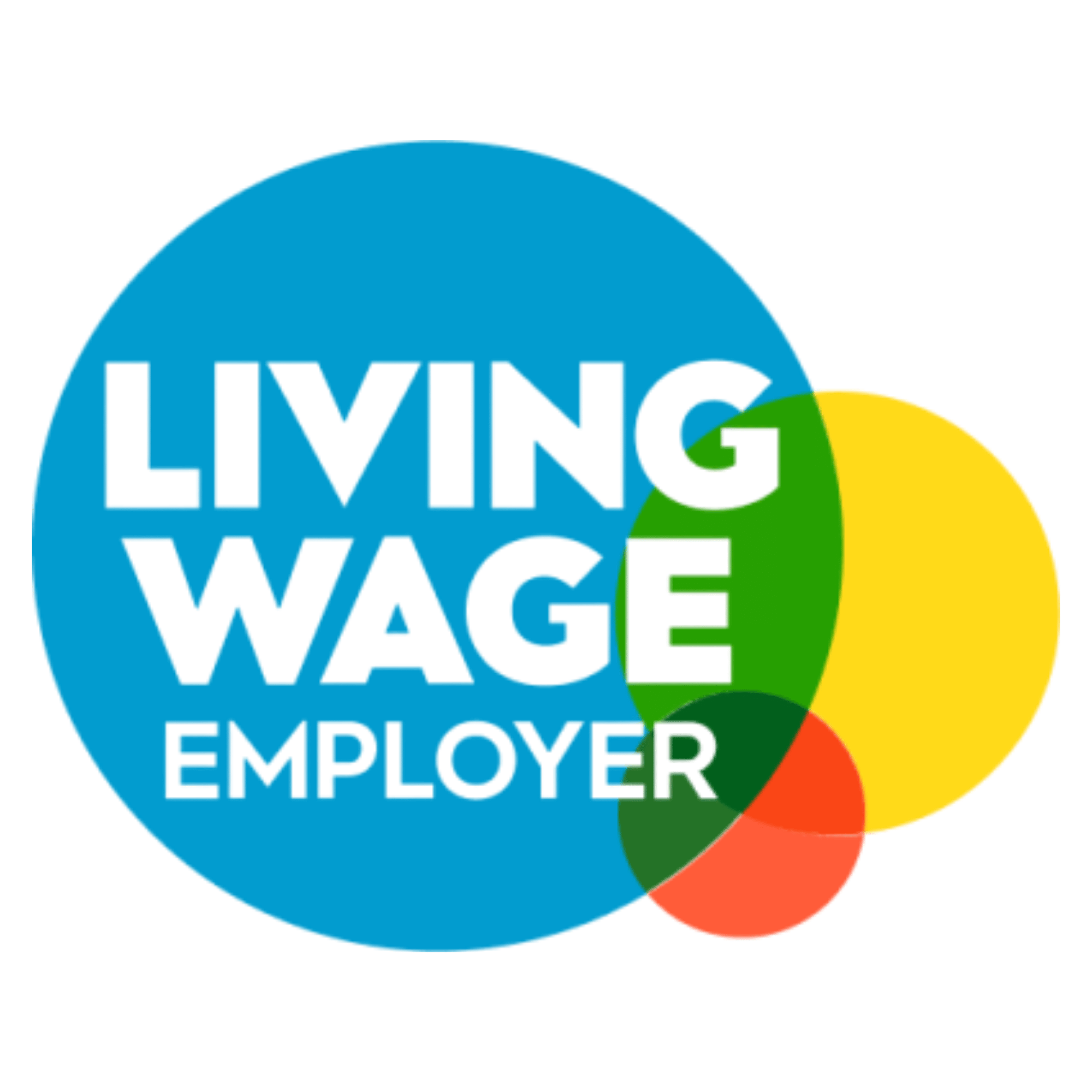 Colorful pie chart illustrating the concept of living wage versus employed wages.