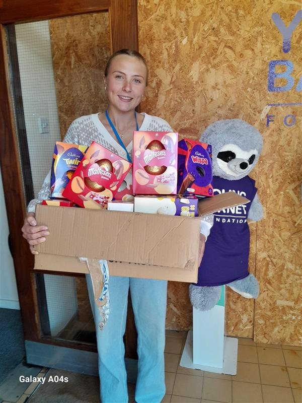 A young woman stands indoors holding a cardboard box filled with Easter candies, including Maltesers, Cadbury Wispa, and other chocolates. She is smiling at the camera. Behind her is a life-sized plush sloth wearing a navy blue shirt with a logo, standing on a small white pedestal. The background has wooden panels and a partial view of a doorway.
