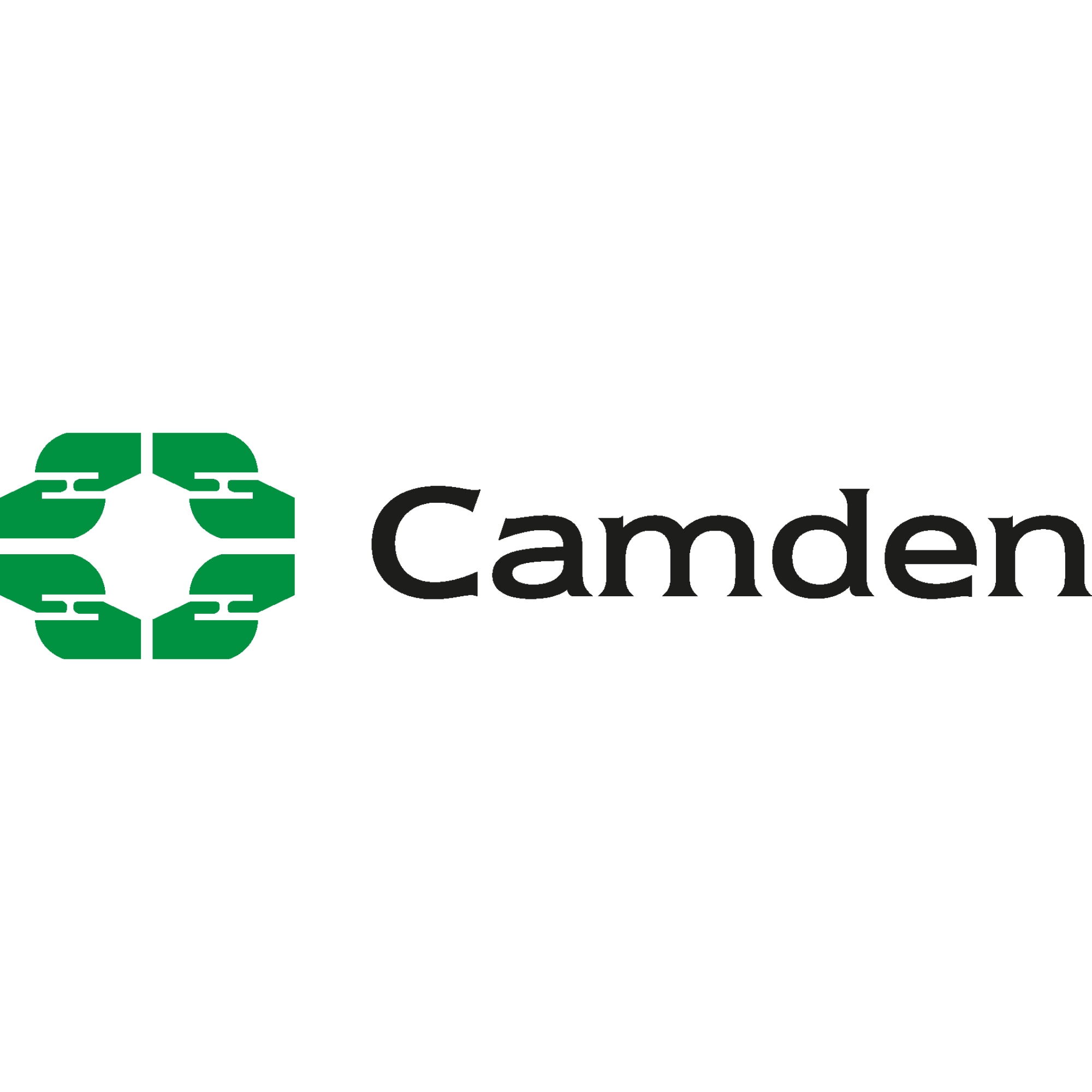 A logo with a white background with green chain design and the word "CAMDEN" in dark grey letters.