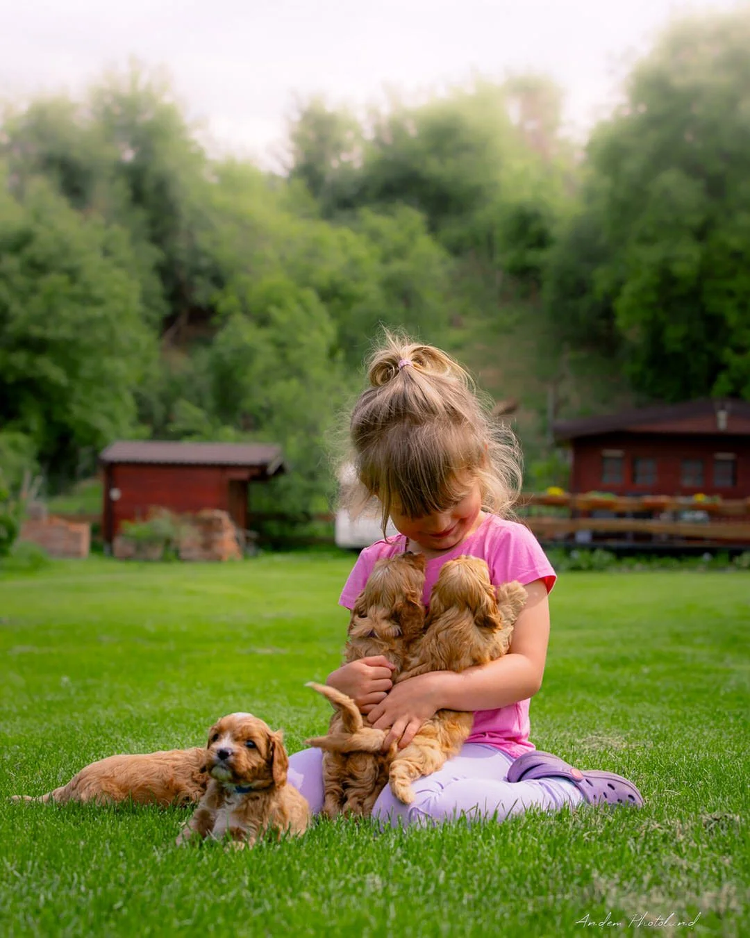 A young girl sitting on green grass, holding and cuddling three puppies with another puppy lying nearby, in a lush outdoor setting with trees and small houses in the background.