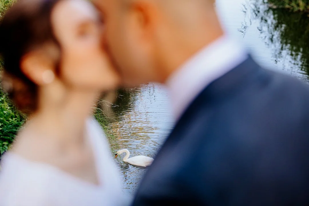 A couple dressed in wedding attire kissing by a river with a swan swimming nearby.