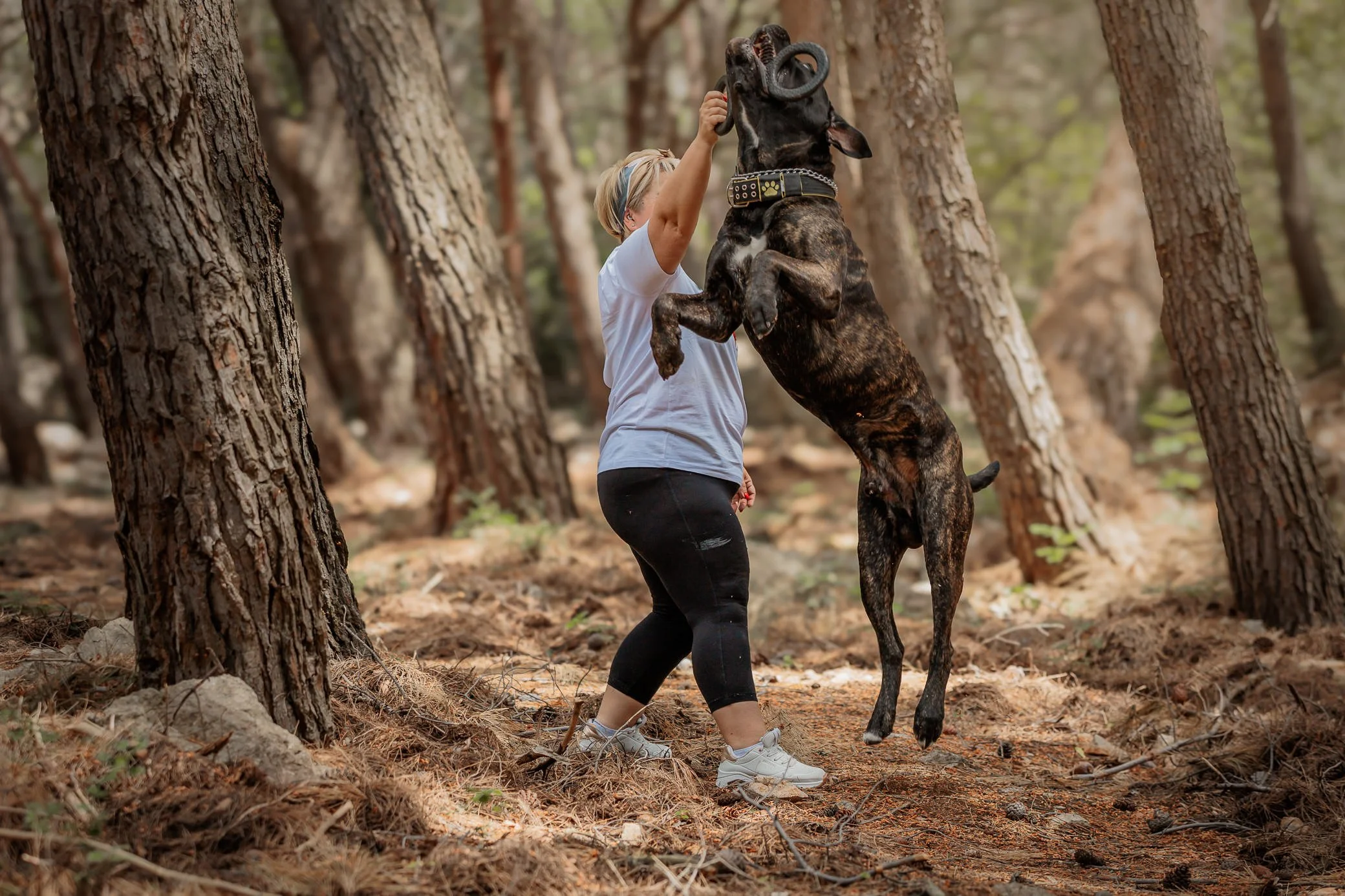 A woman in a white T-shirt and black pants standing in a forest, holding the front legs of a large brindle dog, which is jumping up and biting a snake coiled around her head. Trees surround the scene.