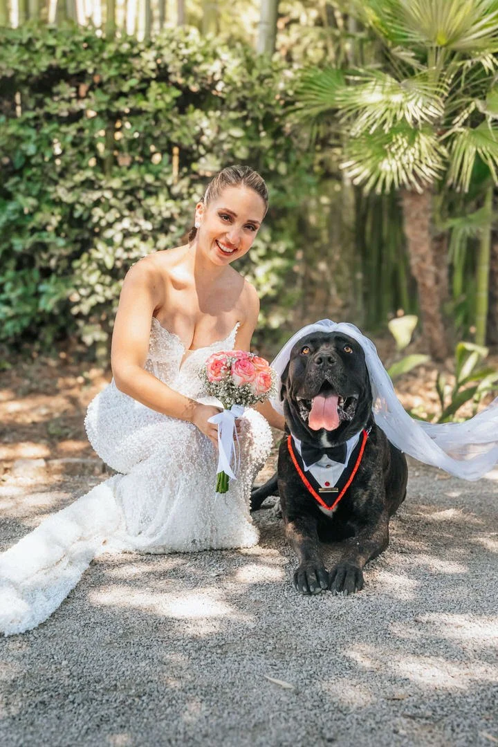 Smiling bride in a white wedding dress kneeling beside her large black dog dressed as a groom in Park Angiolina, Opatija, Kvarner, surrounded by lush greenery and trees.