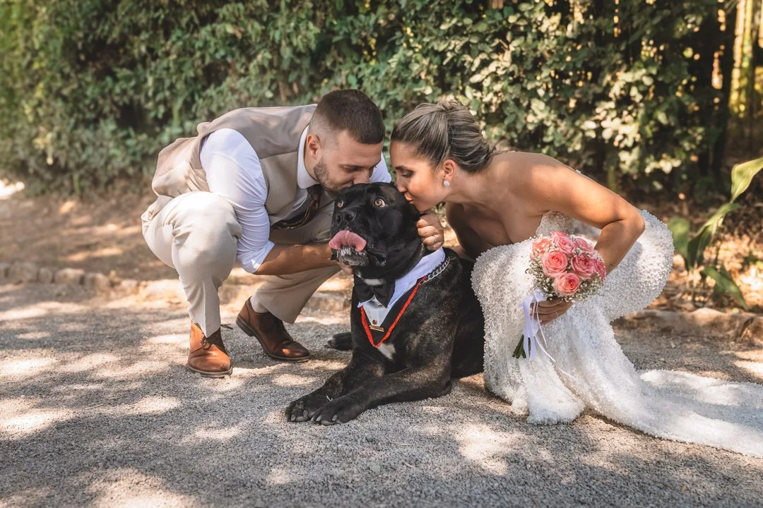 A wedding couple kneels next to a large black dog lying on the ground, petting and kissing it, outdoors in a garden setting.
