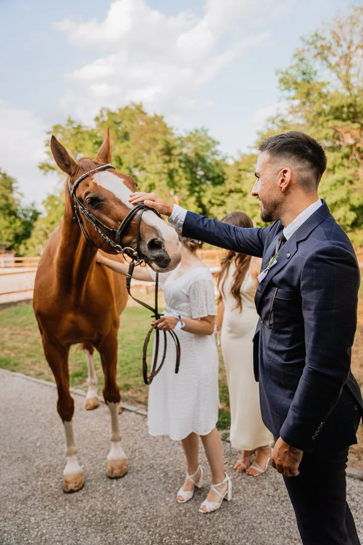 A bestman in a suit petting a brown and white horse, with two women in white dresses standing nearby in an outdoor setting with trees and a fence.