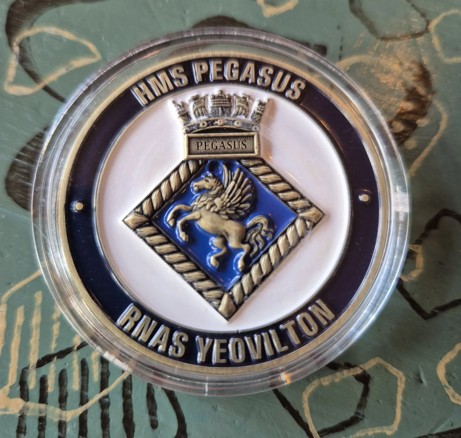 Giving military and blue light veterans with PTSD a helping hand