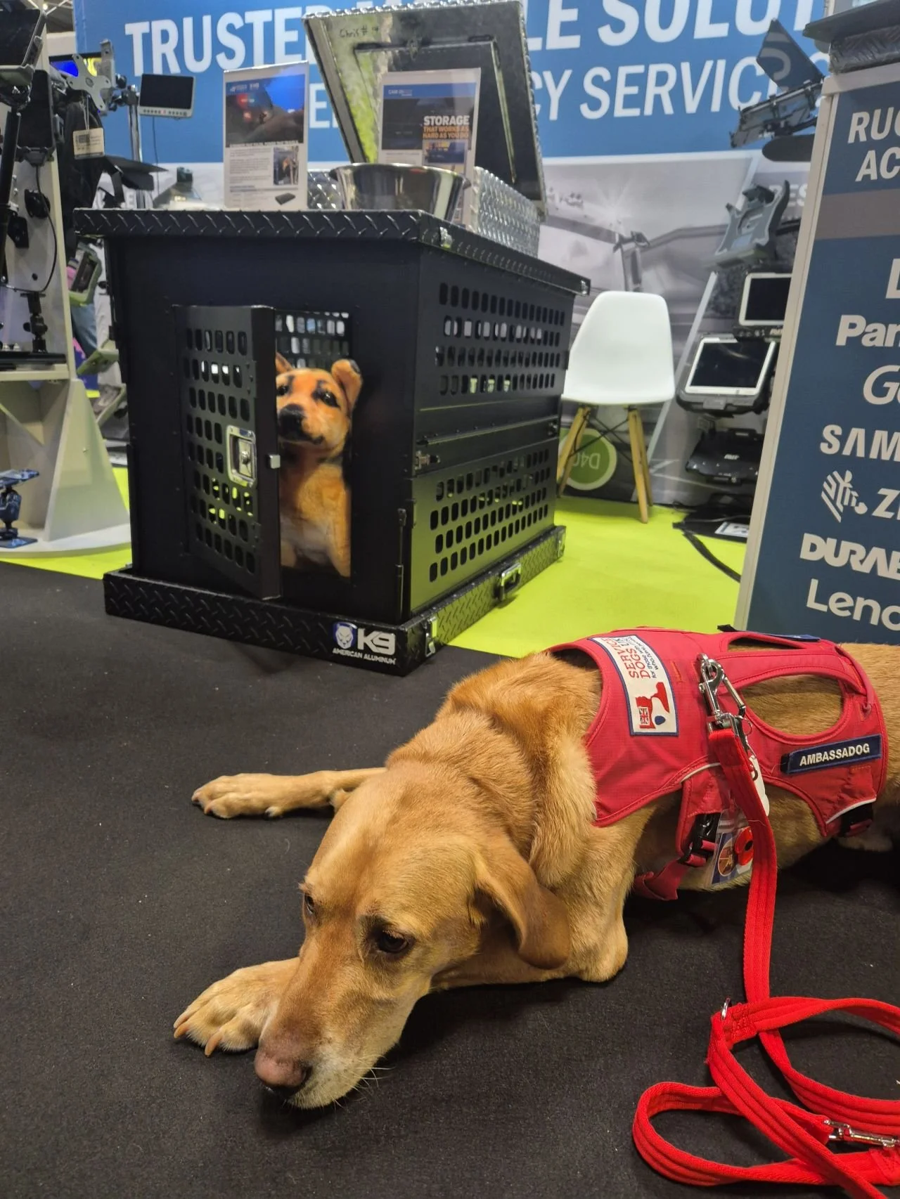 Day 1 Emergency Services Show – complete!