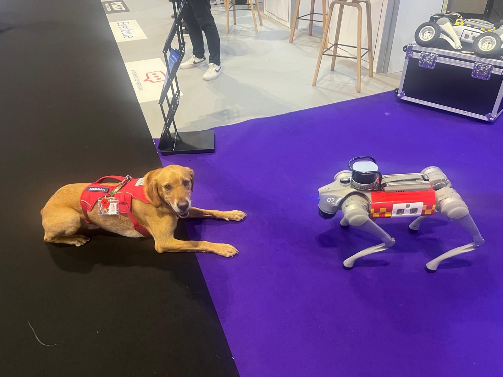 Day 2 Emergency Services Show – complete!