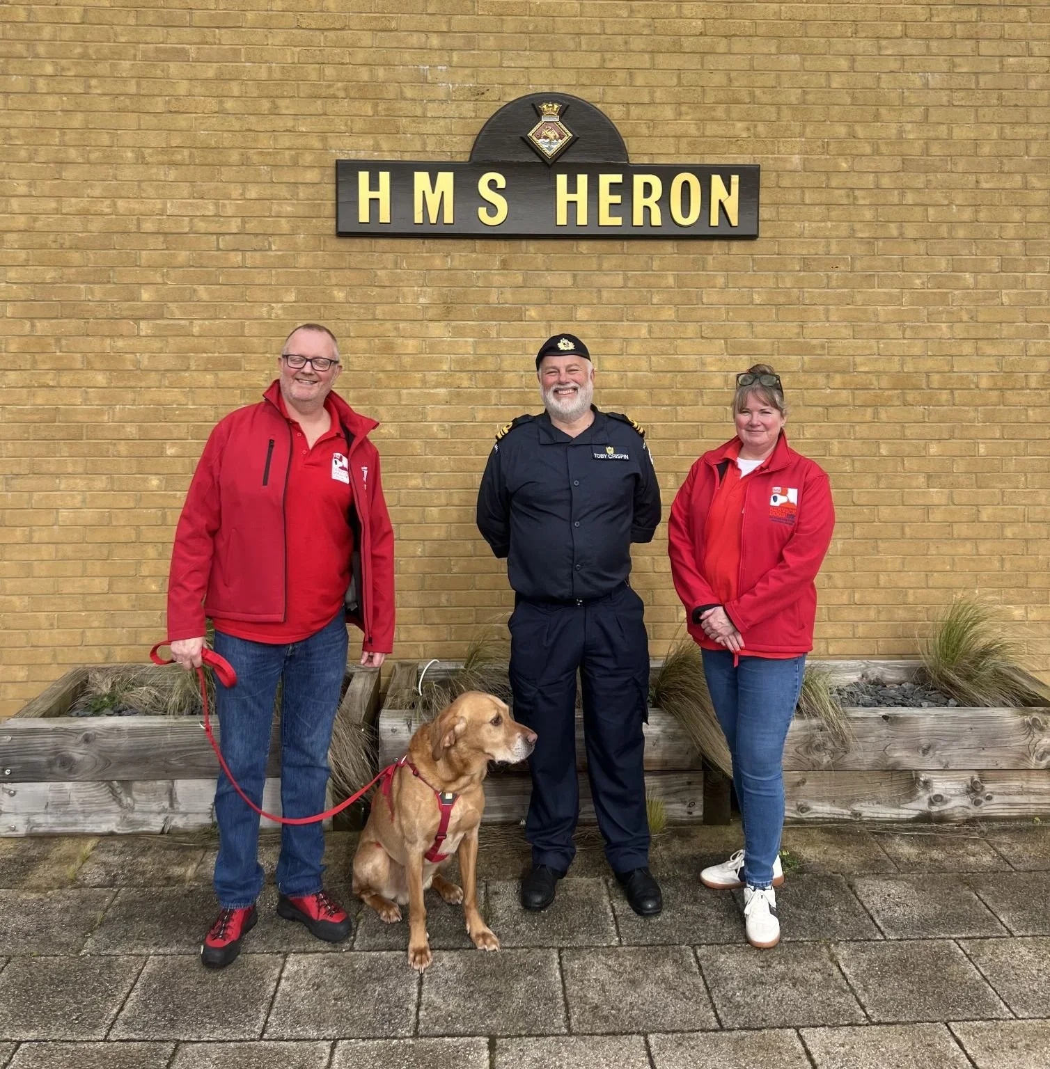 Giving military and blue light veterans with PTSD a helping hand