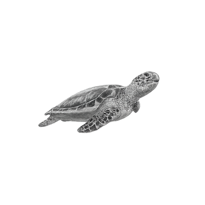 A sea turtle swimming in the black background.