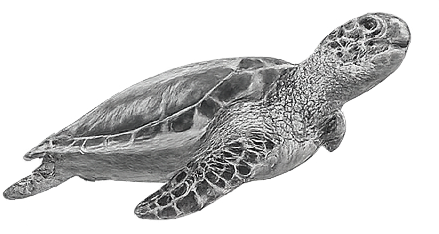 A realistic model of a baby sea turtle swimming, with detailed shell and flippers, against a black background.