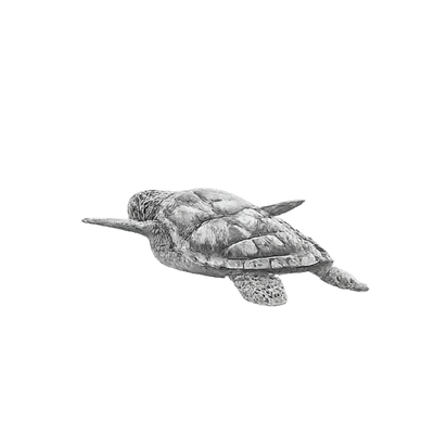 A drawing of a turtle with a pointed snout and a patterned shell.