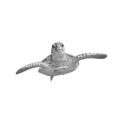 A grayscale image of a sea turtle swimming with its flippers extended