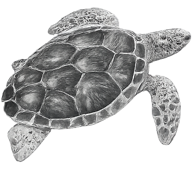 A black and white photo of a sea turtle swimming.
