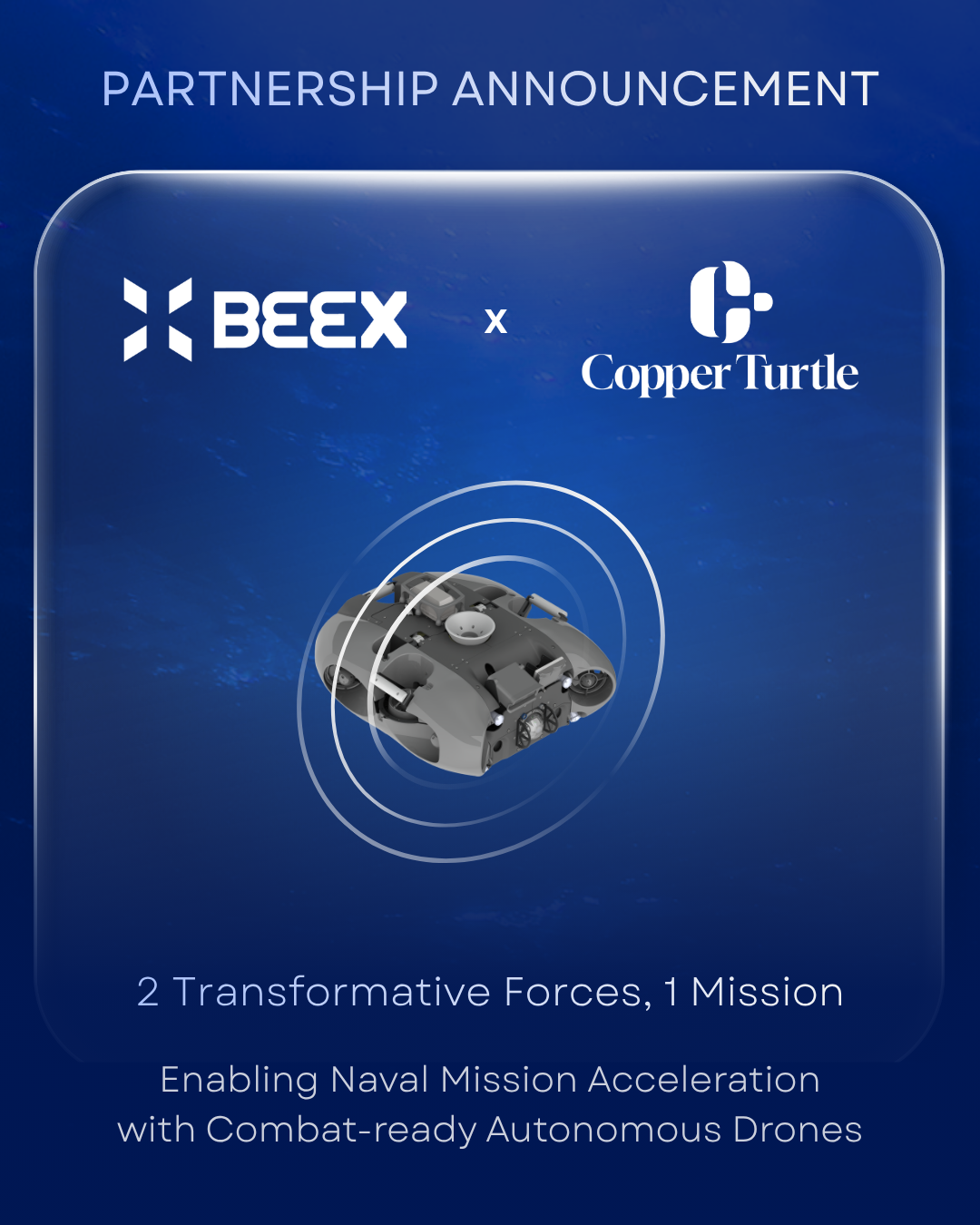 Copper Turtle announce partnership with BeeX
