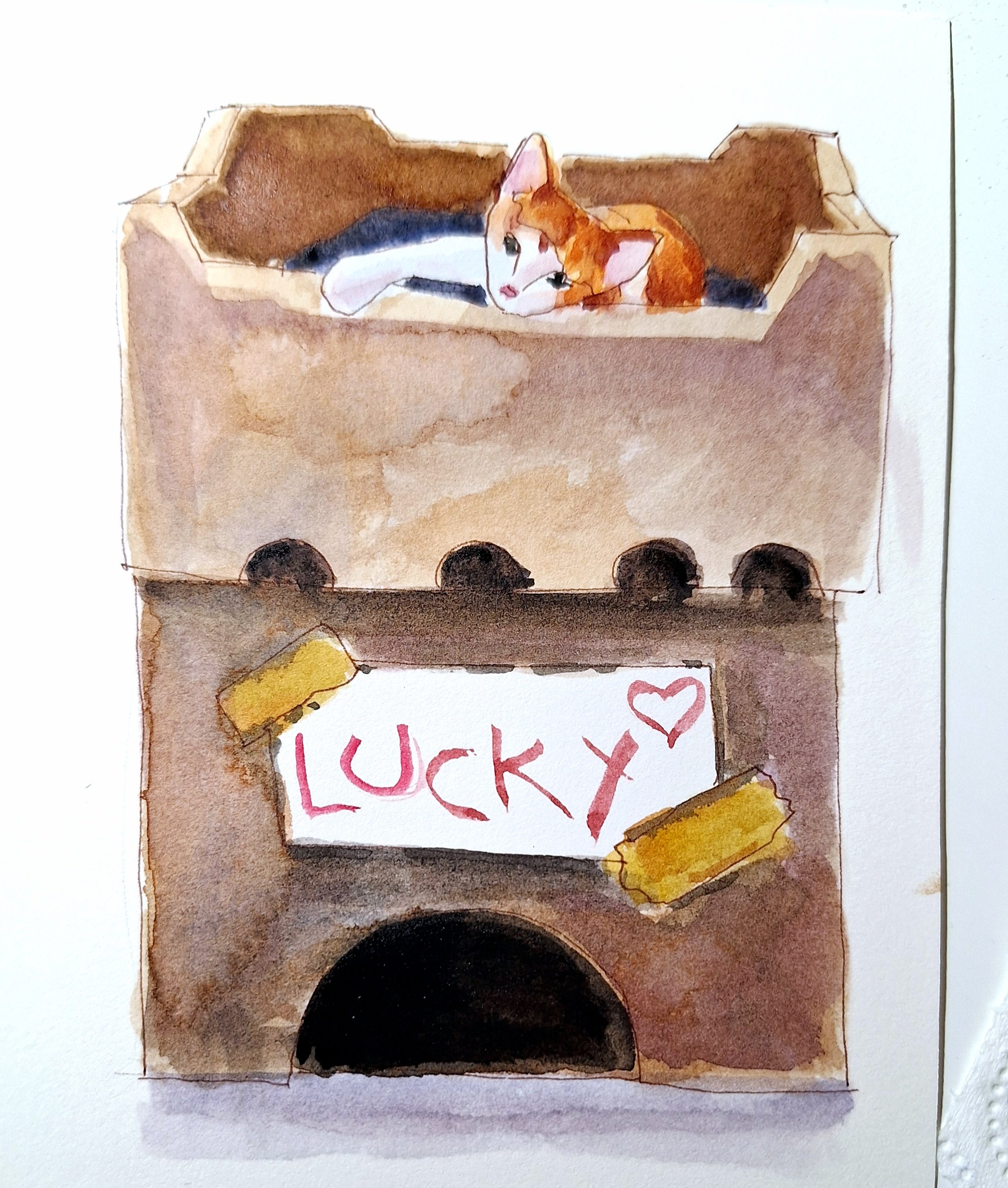 A watercolor drawing of a cardboard box with a white and orange cat resting inside, next to a handwritten note saying 'Lucky' with hearts. The box has black wheels at the bottom and a yellow object at the corner.