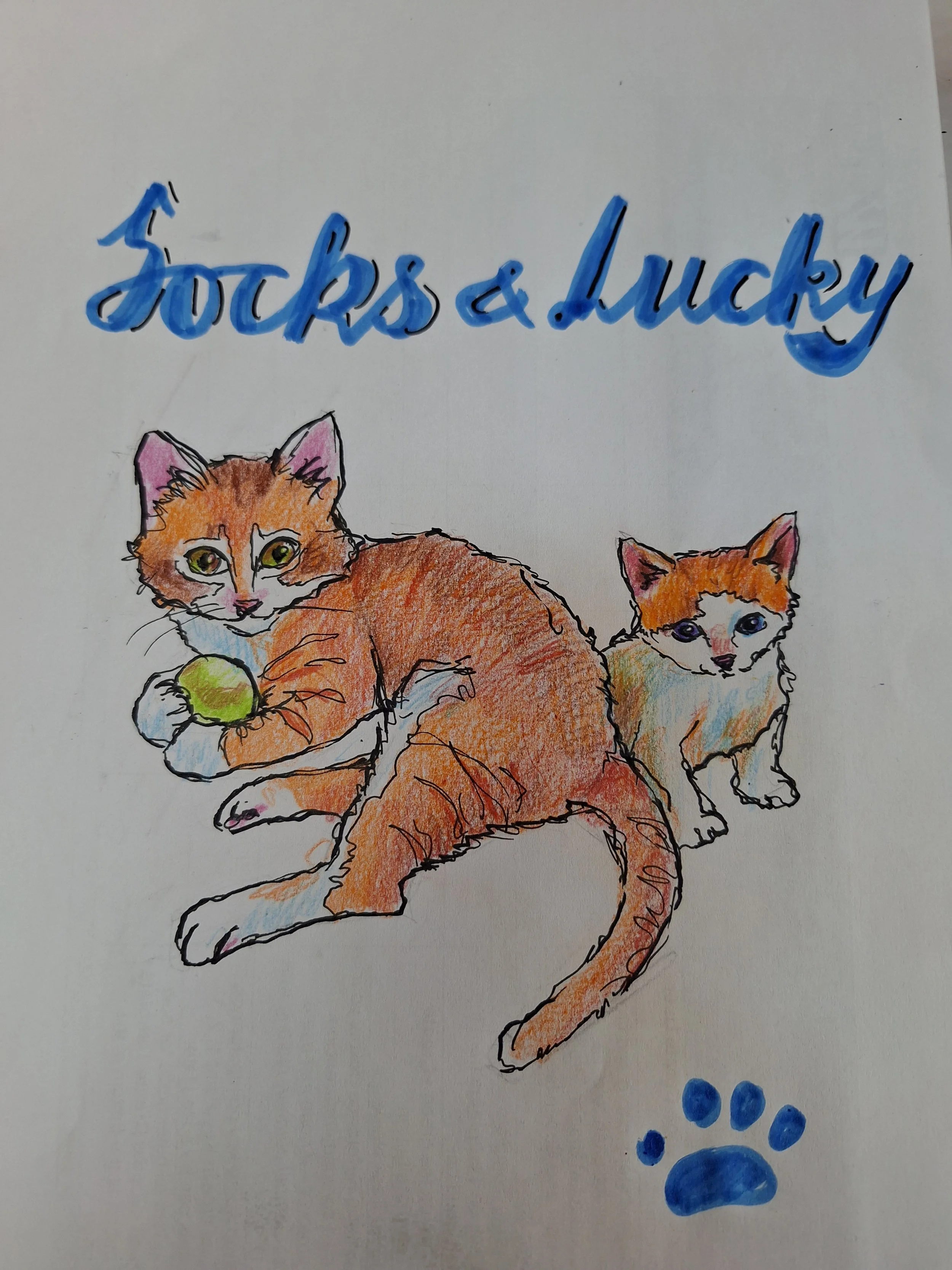 Colored pencil drawing of two cats, one larger orange tabby with green eyes holding a tennis ball, and a smaller orange and white kitten with blue eyes, along with a blue paw print.