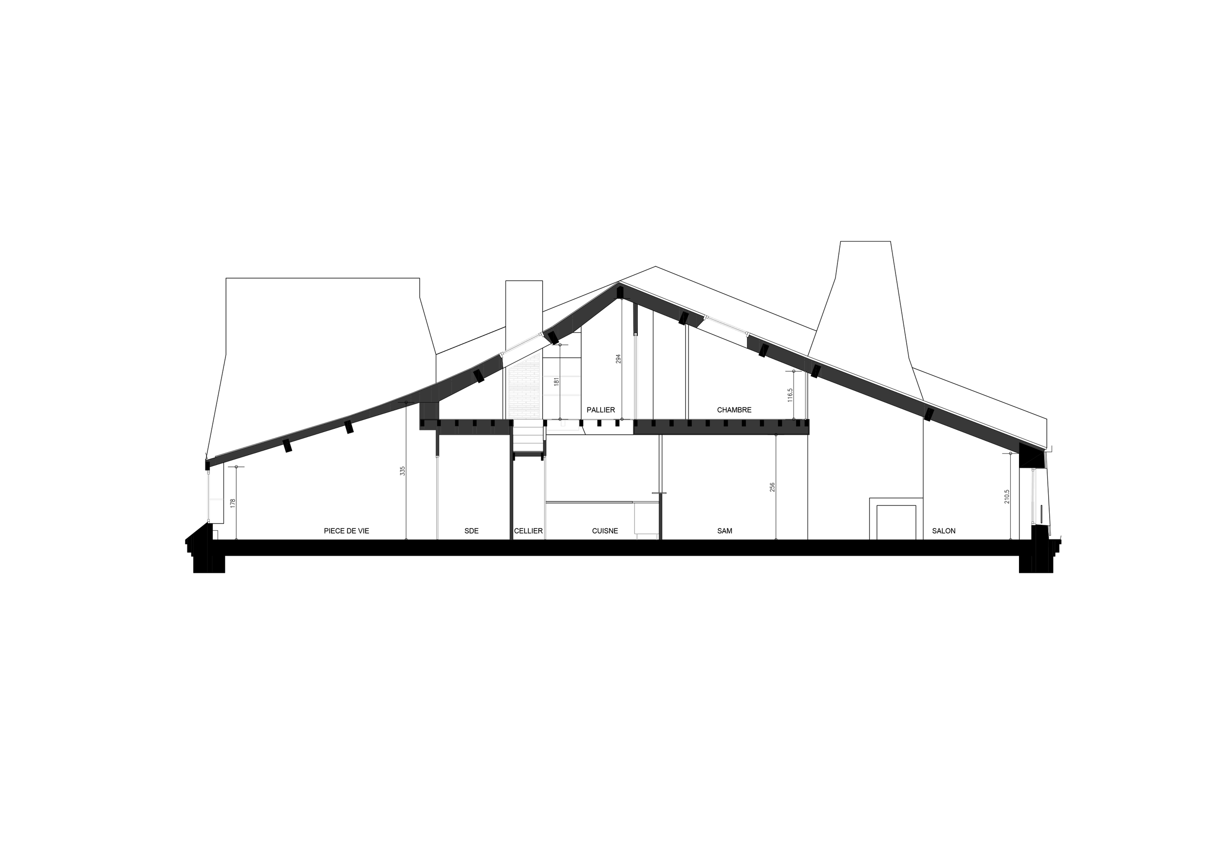 pierre-dansart-architecte-coupe-existant.png