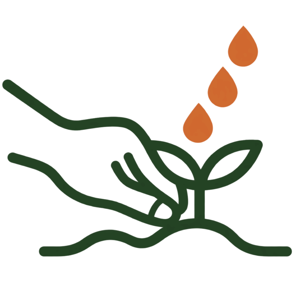 Line drawing of a hand planting a small seedling with three water droplets above it.