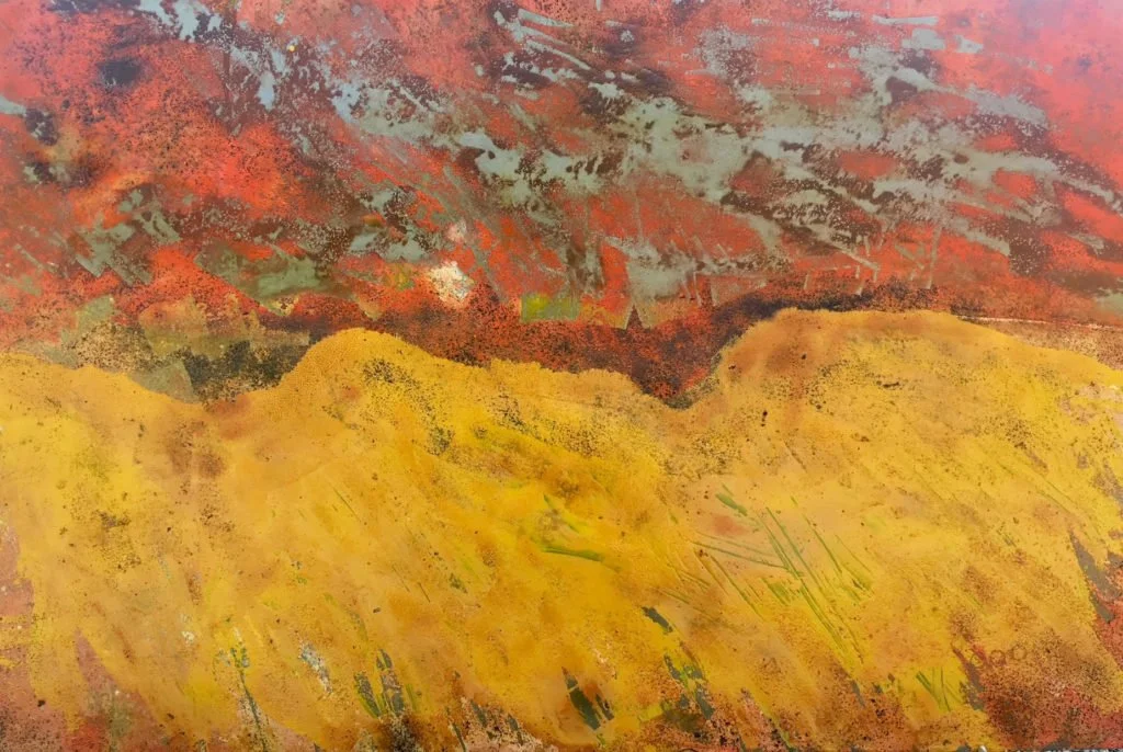 Partial Sun Cover 2019
