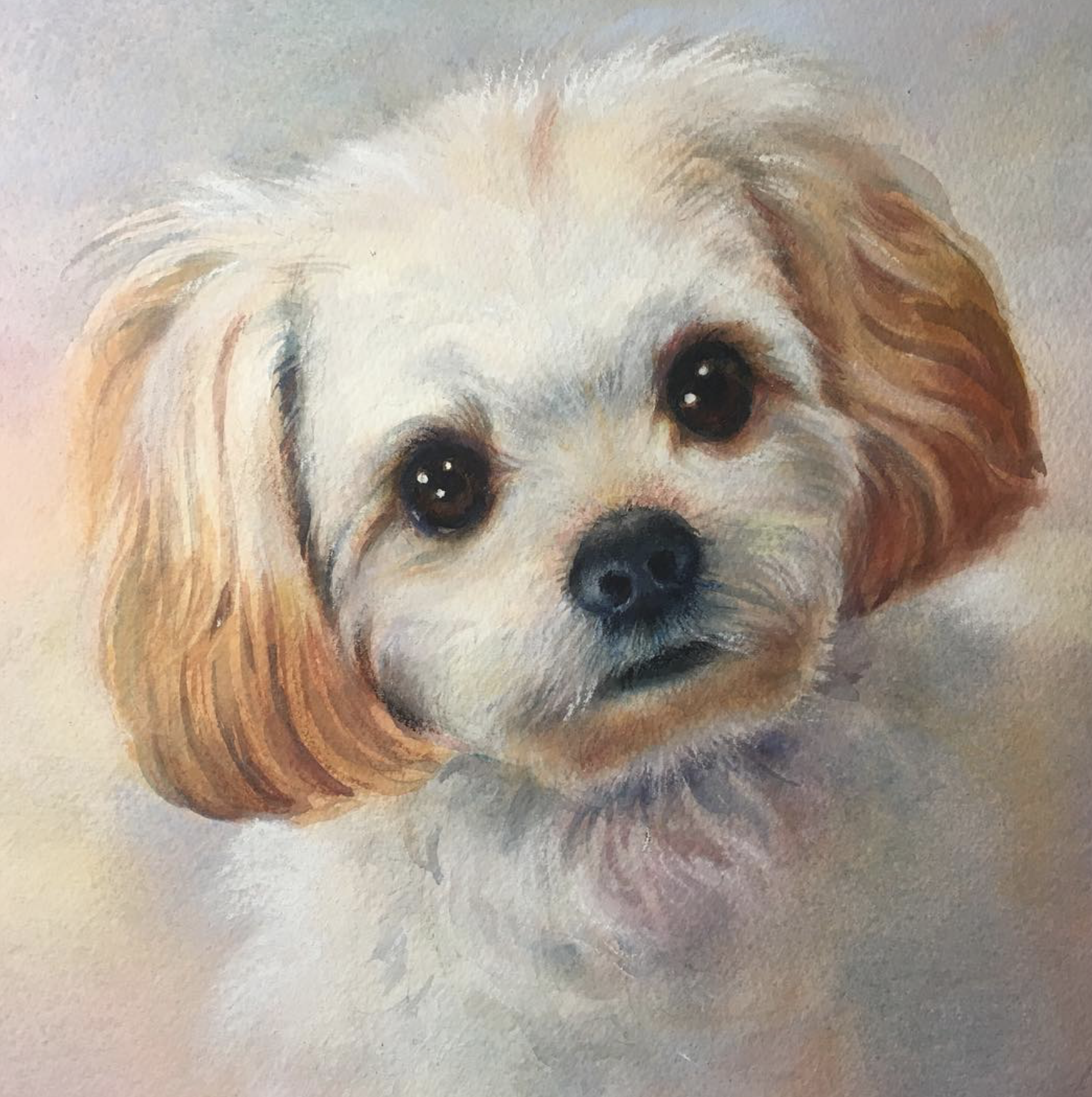 Close-up of a watercolor painting of a cute dog with large dark eyes, a black nose, and fluffy white and brown fur.