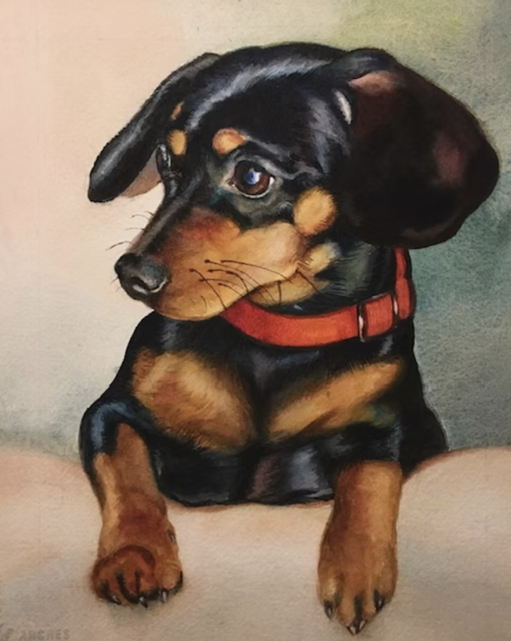 Painting of a cute black and tan puppy with floppy ears wearing a red collar.