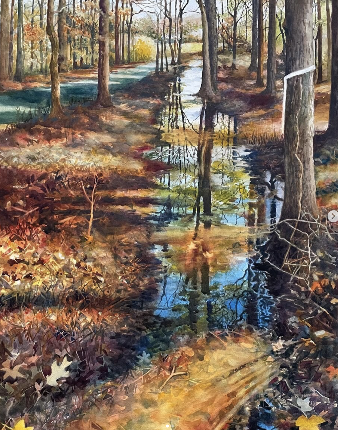 A watercolor painting of a wooded scene with tall trees and a small stream reflecting the trees and sky, autumn leaves on the ground.