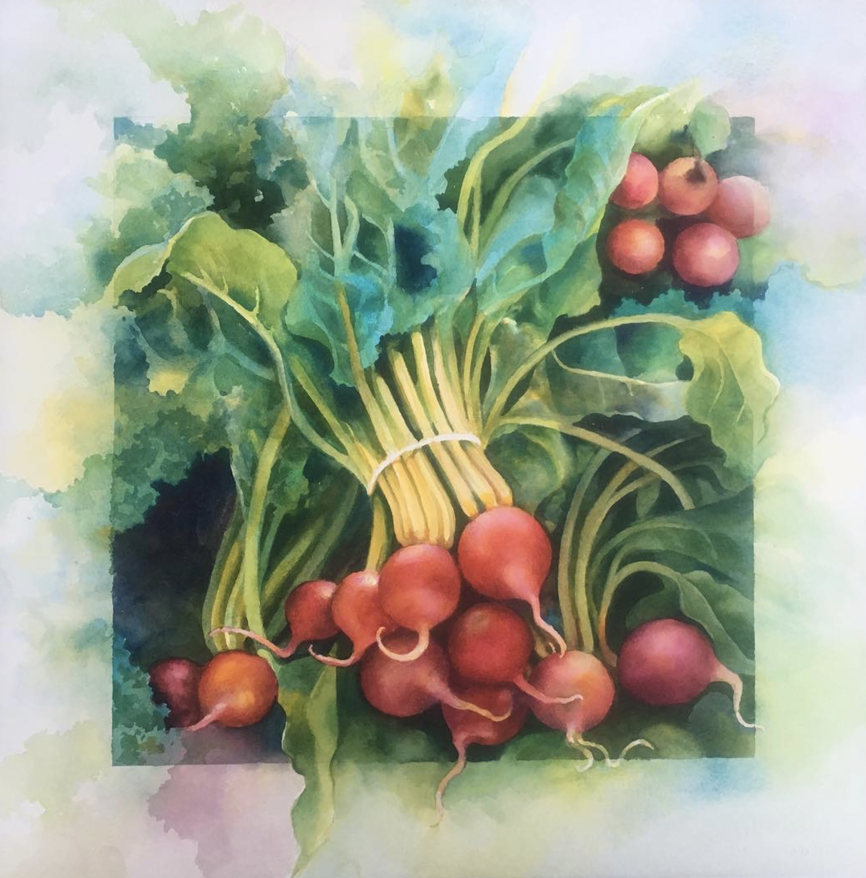 Watercolor painting of a bunch of radishes with green leaves.