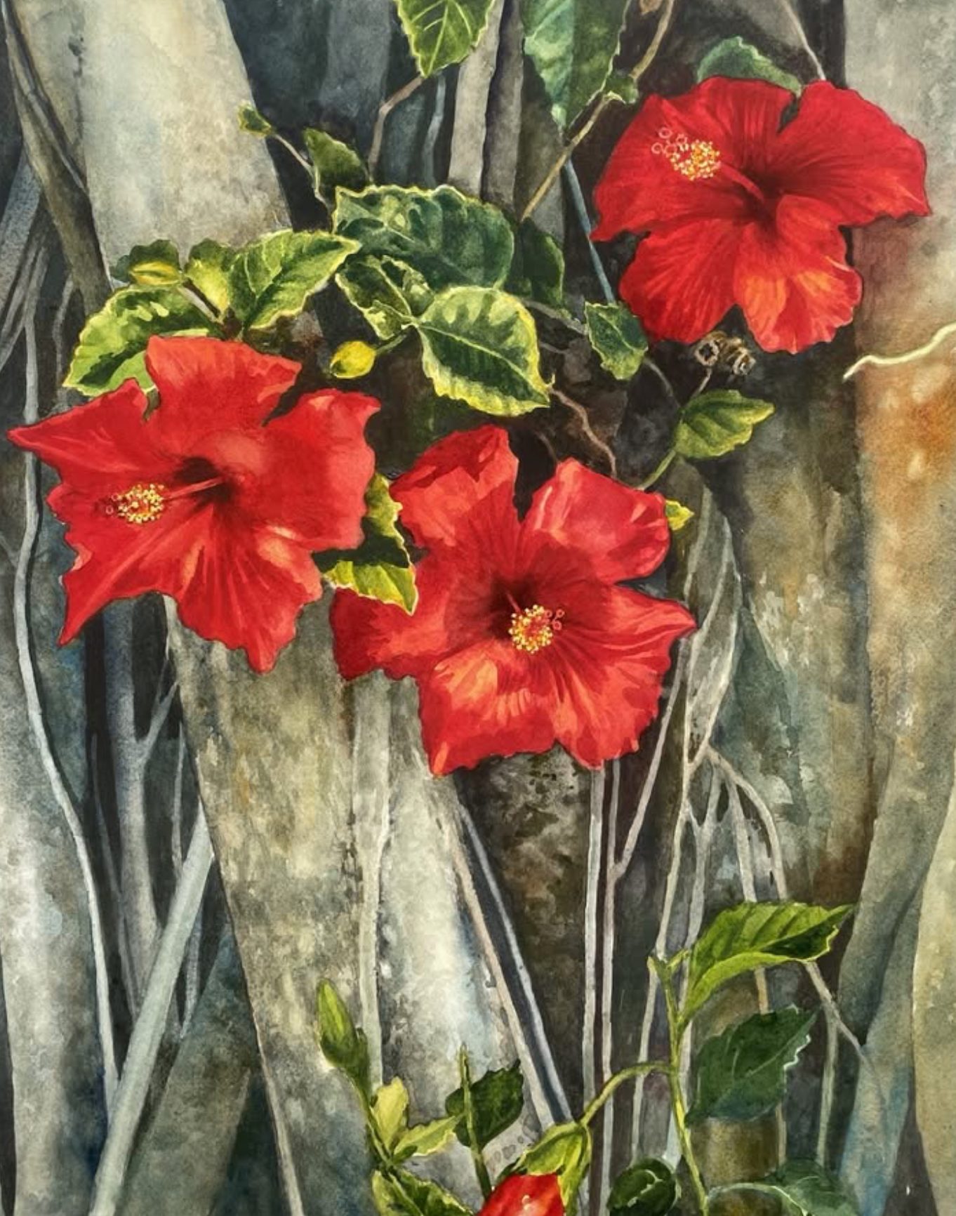 Close-up of red hibiscus flowers with green leaves and gray branches against a stone or concrete background.
