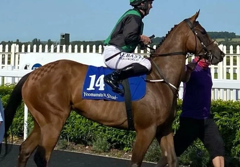 Horse Wren's Breath winner bred by Rathmore Stud