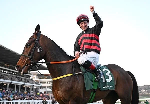 Horse The Mourne Rambler winning at Cheltenham