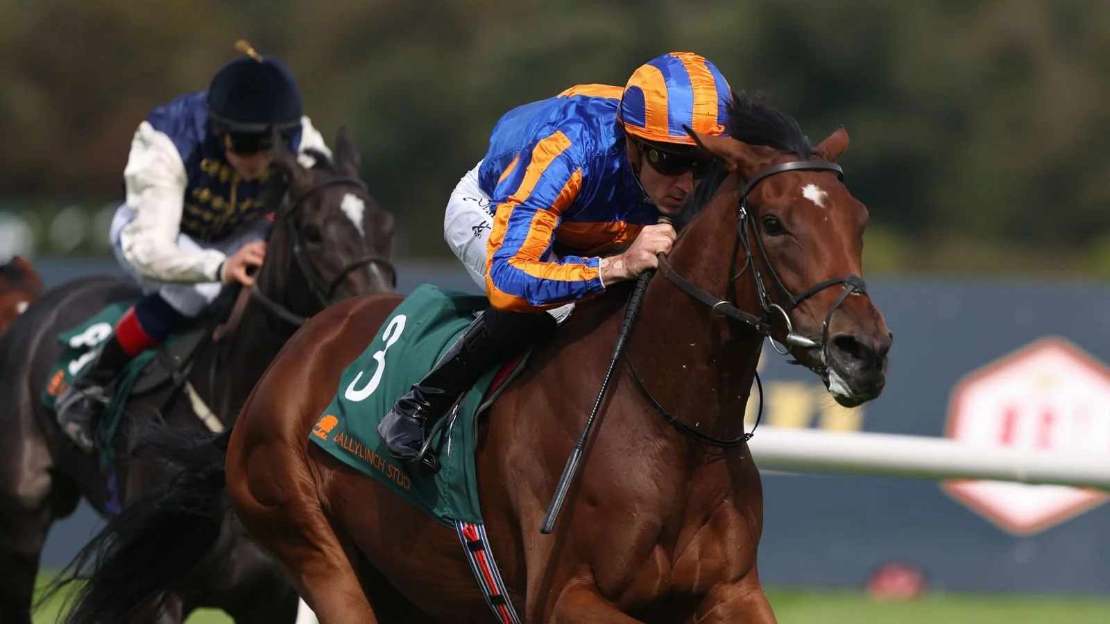 Diamond Necklace classic winner