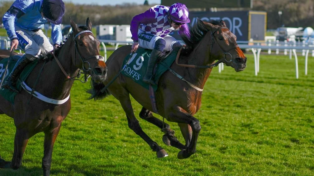 Lady Hope is a 33-1 winner in the Goffs Hundred Grand Bumper