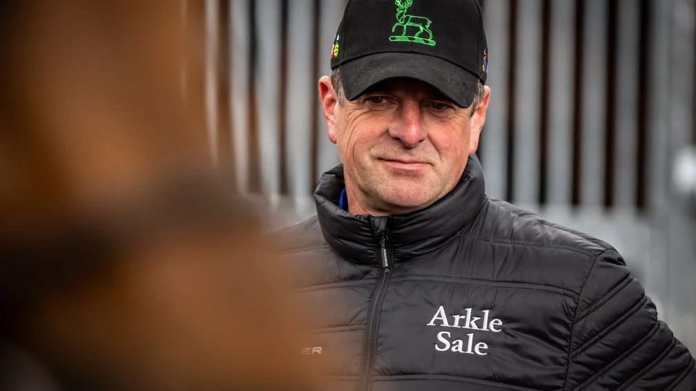 Peter Molony at Goffs "Arkle Sale."