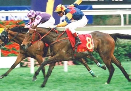 Horse Sobriety winning HongKong Derby