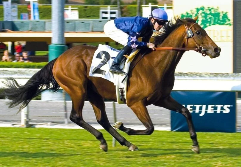 Horse racing at a racetrack with a jockey dressed in blue and white riding a brown horse, number 2, in action.