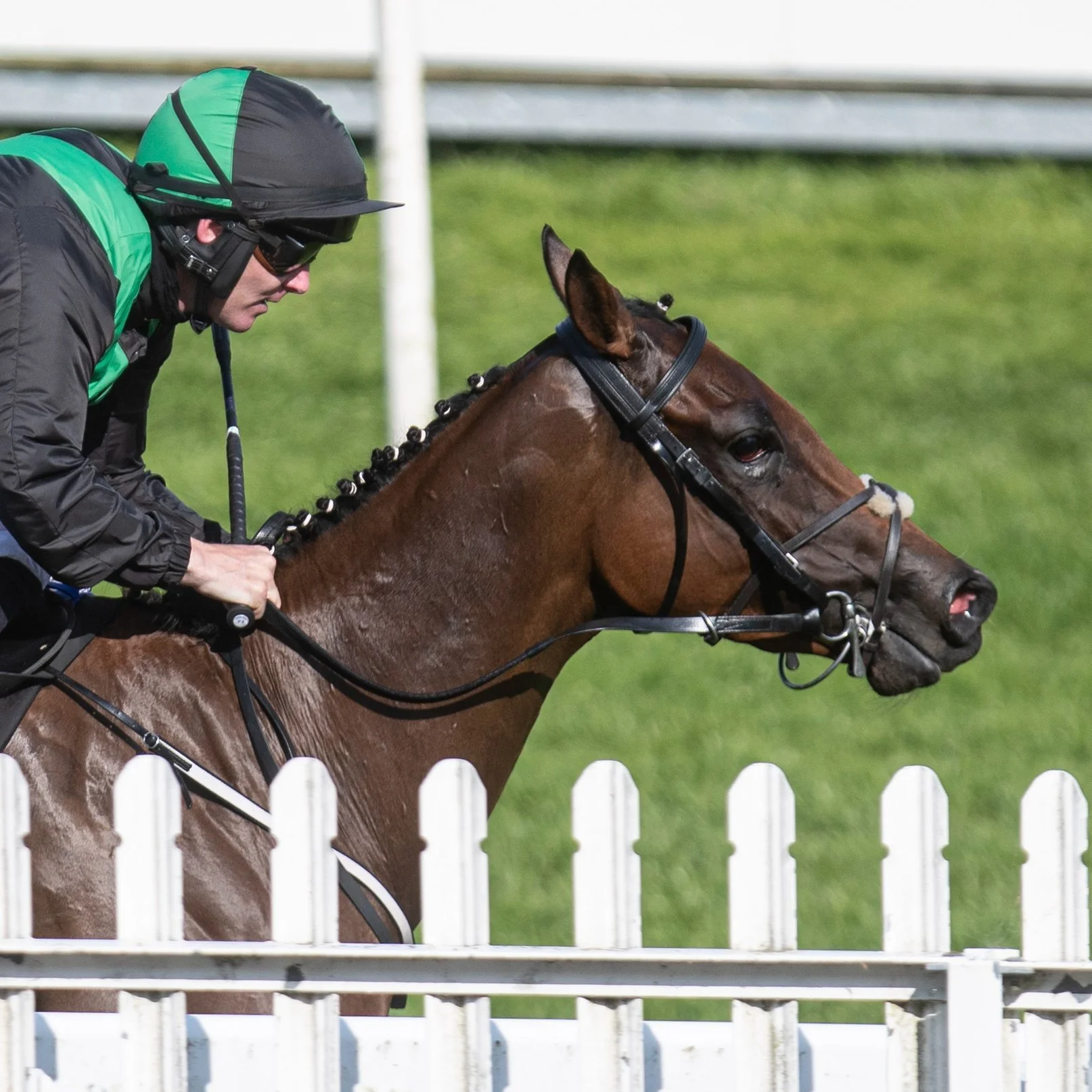 A HOME BRED WIN WITH WREN’S BREATH