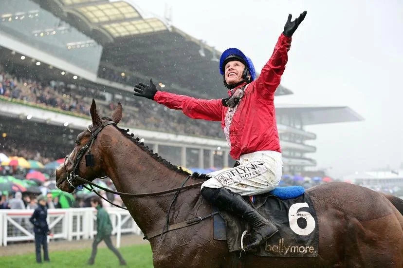 Sir Gerhard celebrating victory at Cheltenham racetrack